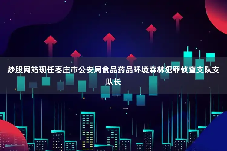 炒股网站现任枣庄市公安局食品药品环境森林犯罪侦查支队支队长