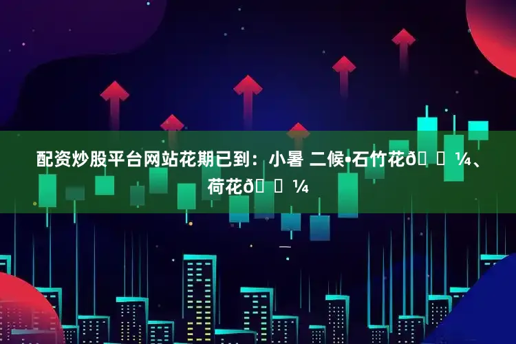配资炒股平台网站花期已到：小暑 二候•石竹花🌼、荷花🌼